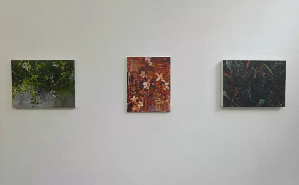 Paintings by Helen Thomas, Barbara Howey and Judith Tucker exhibited on a white wall