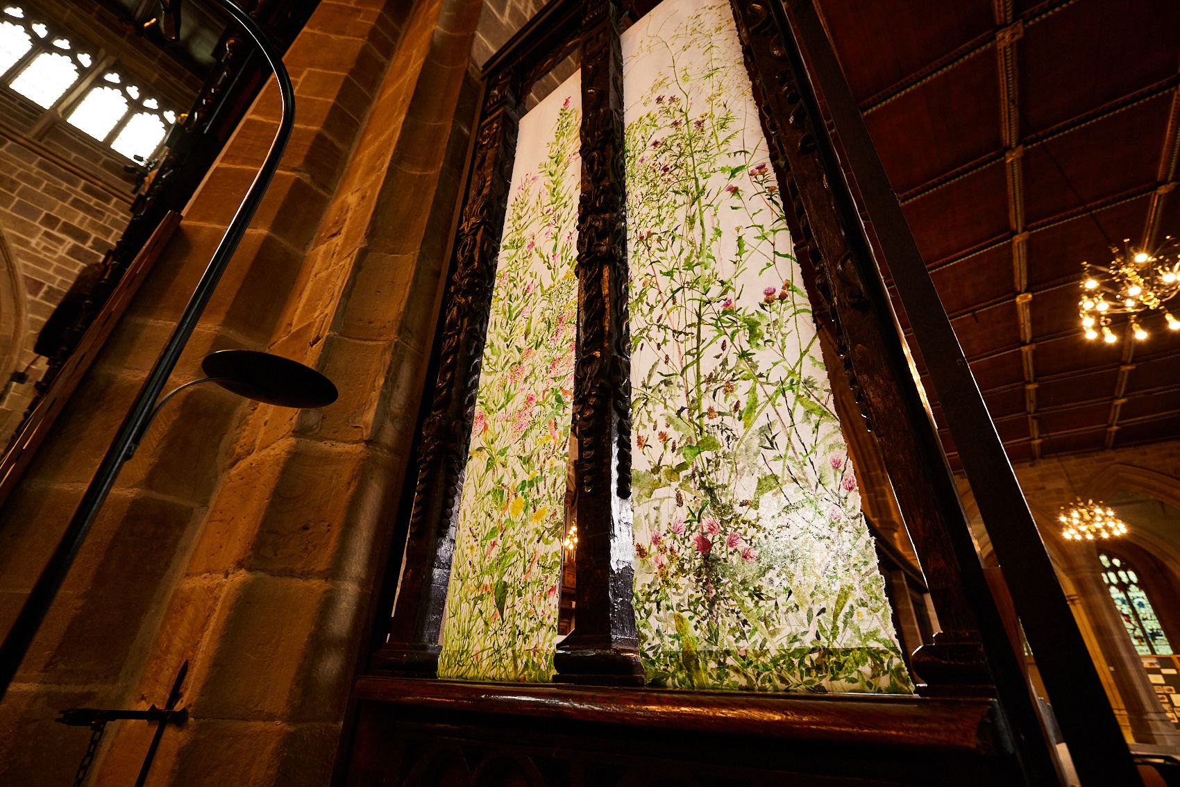 Paintings of urban wild plants by Helen Thomas in Wakefield Cathedral