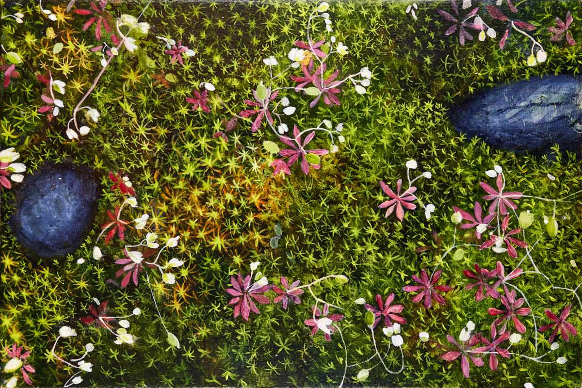 Painting of moss by Helen Thomas